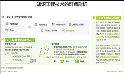2022年中國對話式AI行業(yè)發(fā)展白皮書 軟件開發(fā)篇