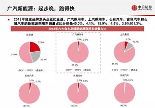 2019廣汽新能源業(yè)務(wù)研究報(bào)告 物聯(lián)網(wǎng)服務(wù)驅(qū)動(dòng)智能出行新生態(tài)