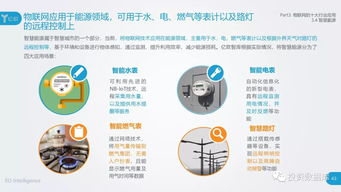 2018中國物聯網應用研究報告 互聯網數據服務的融合與發展